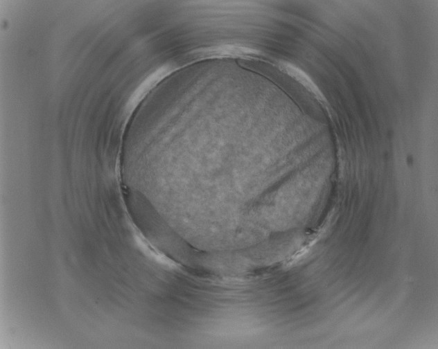 X0000075810946200610061728