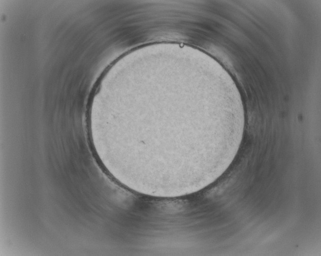 X0000075810947200610061728