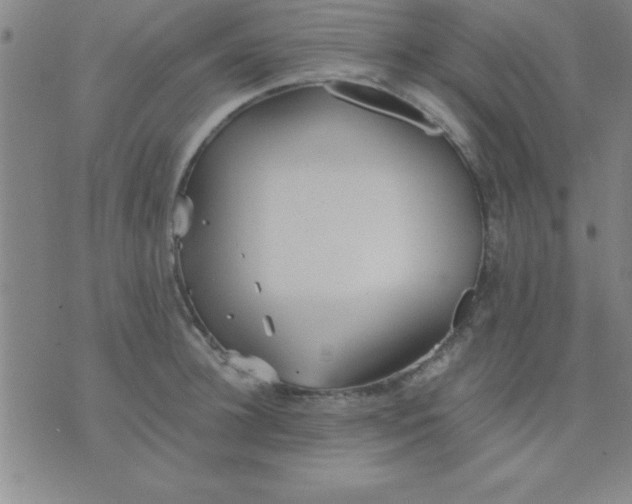 X0000075810948200610061728