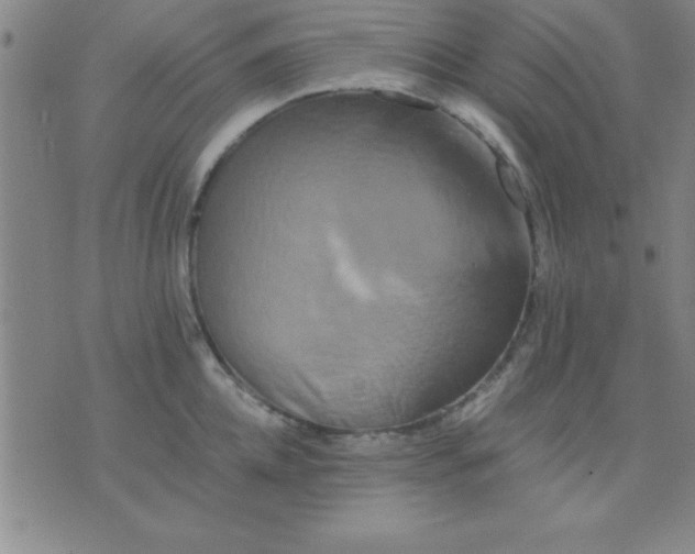 X0000075810952200610061728