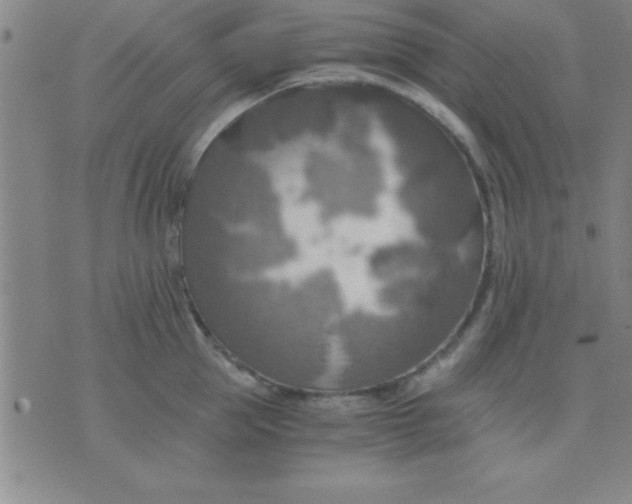 X0000075810953200610061728