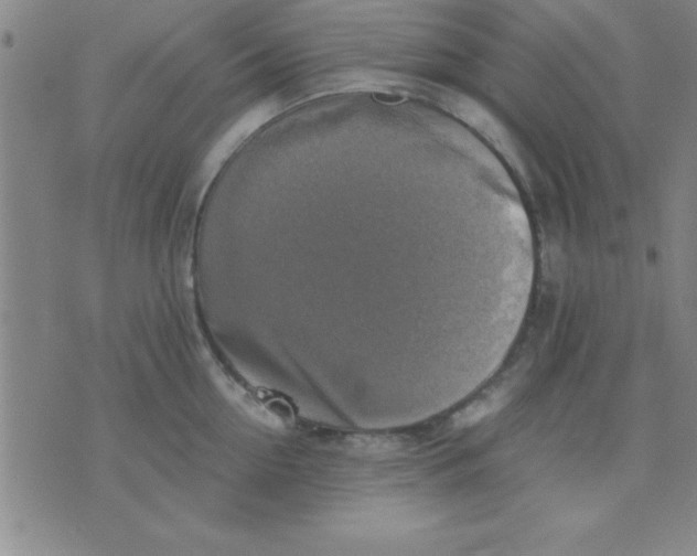 X0000075810954200610061728