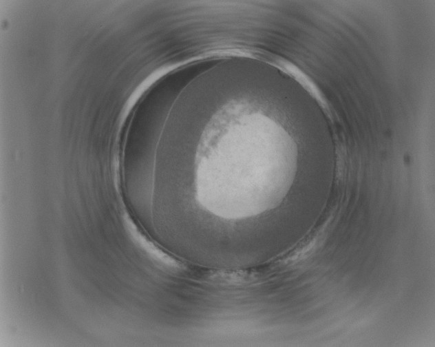 X0000075810955200610061728