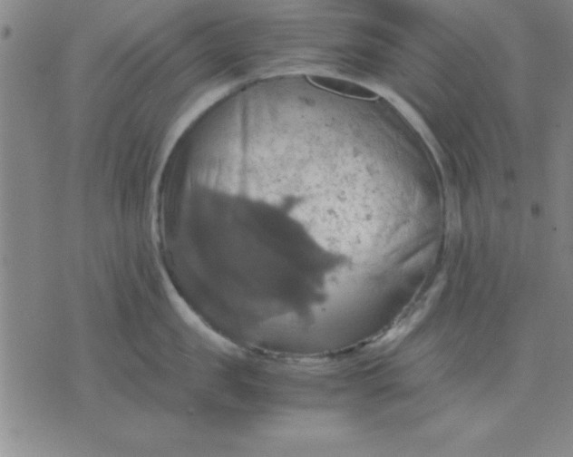 X0000075810957200610061728