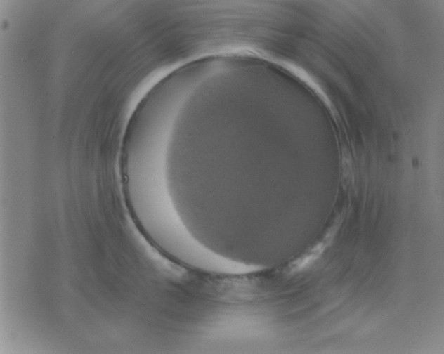 X0000075810959200610061728