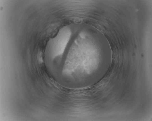 X0000075810962200610061728