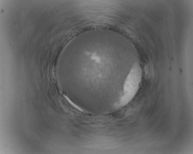 X0000075810963200610061728