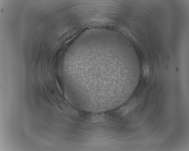 X0000075810964200610061728