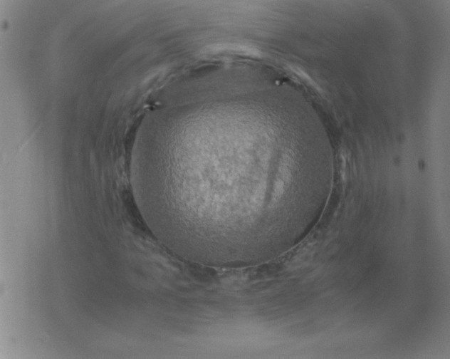 X0000075810965200610061728