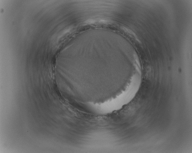 X0000075810966200610061728