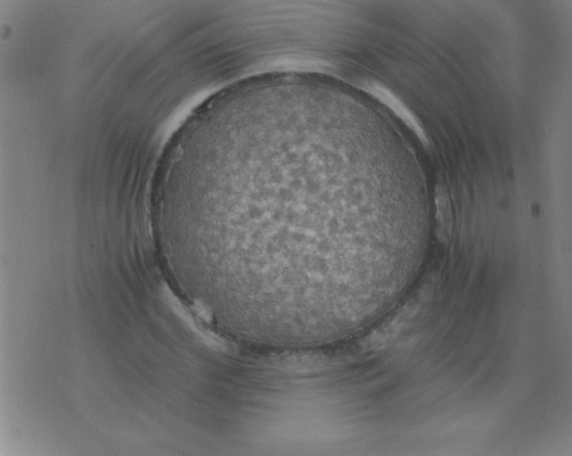 X0000075810972200610061727