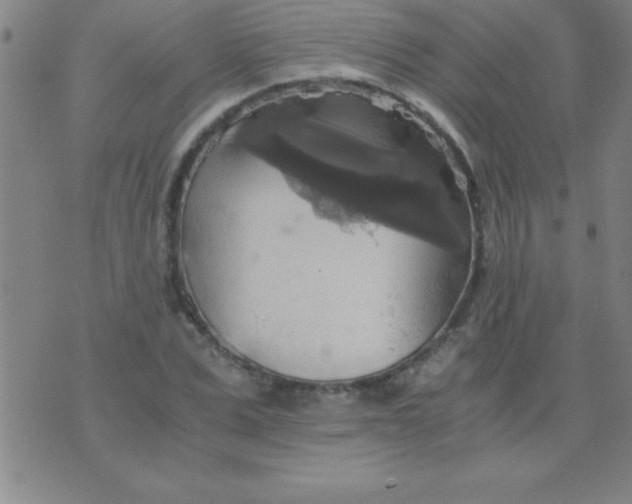 X0000075810975200610061727