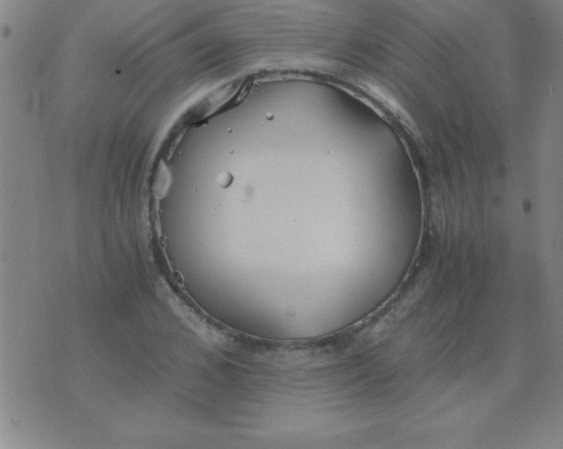 X0000075810976200610061727