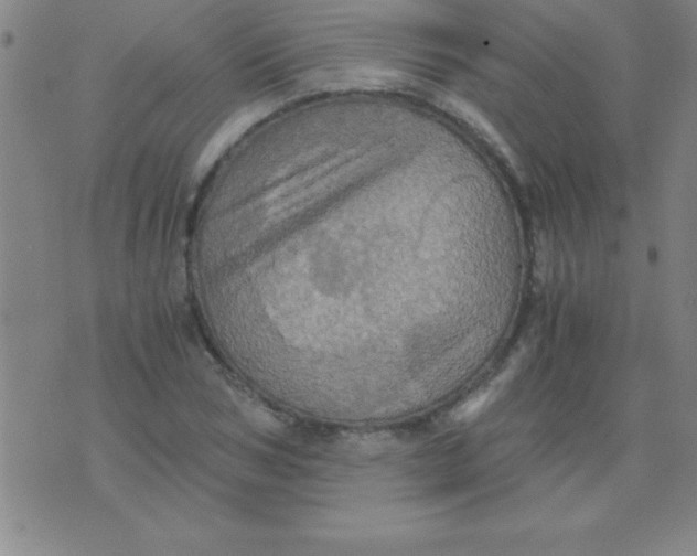 X0000075810978200610061727