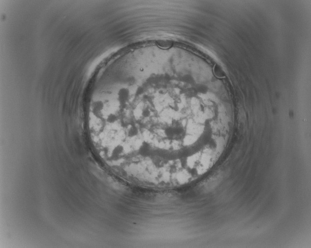 X0000075810979200610061727