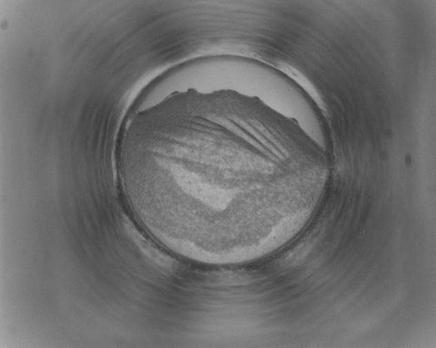 X0000075810980200610061727