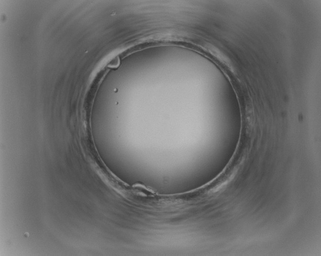 X0000075810981200610061727