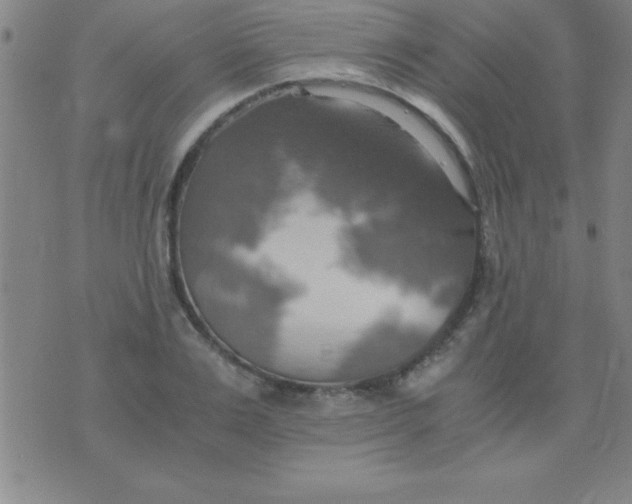 X0000075810983200610061727