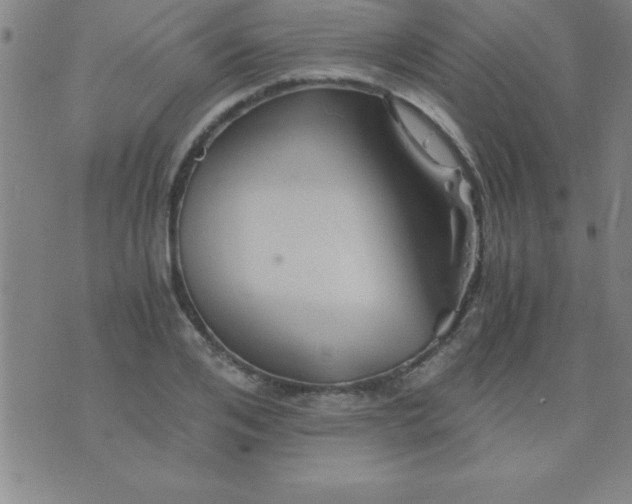 X0000075810984200610061727