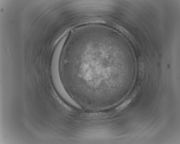 X0000075810985200610061727