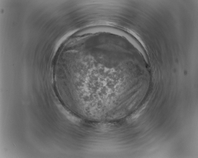 X0000075810987200610061727