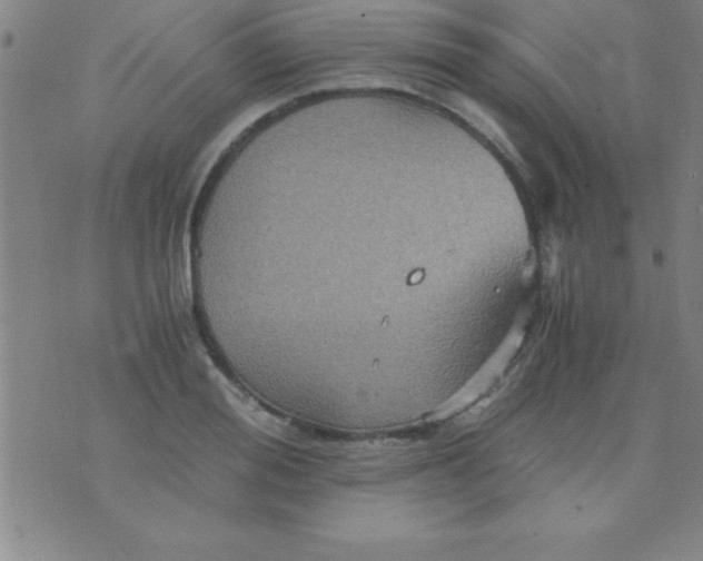 X0000075810988200610061727