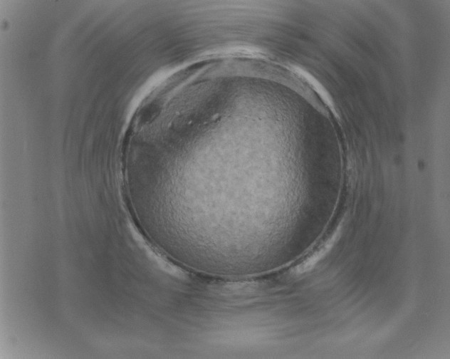 X0000075810989200610061727