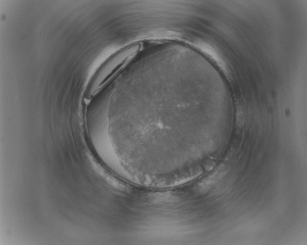 X0000075810990200610061727