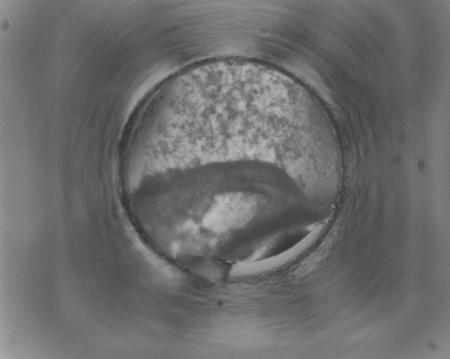 X0000075810991200610061727