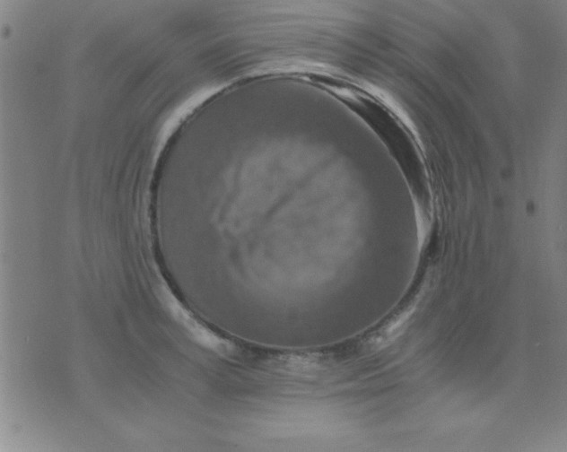 X0000075810995200610061727