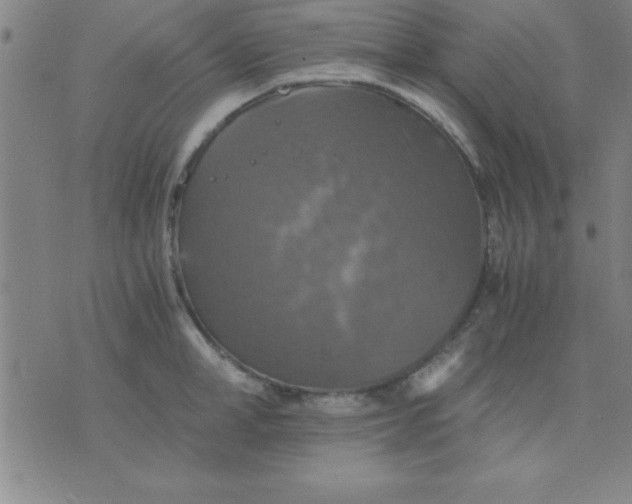 X0000075810998200610061727