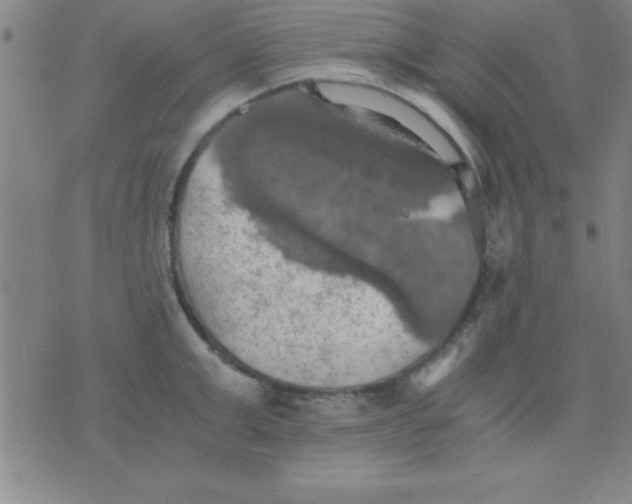 X0000075810999200610061727