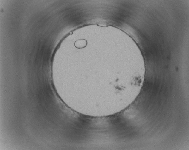 X0000075811000200610061727