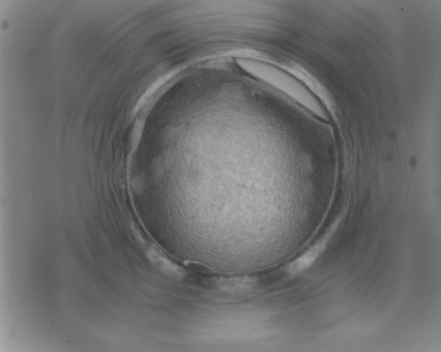 X0000075811001200610061727