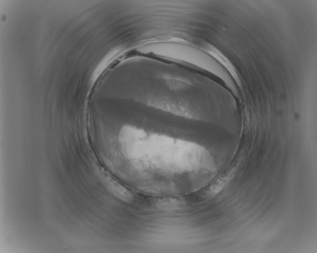 X0000075811002200610061727