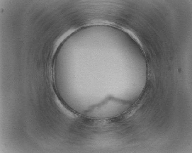 X0000075811003200610061727