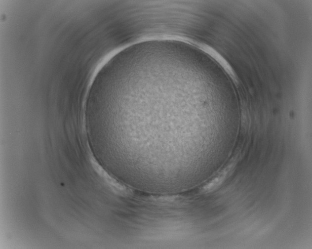 X0000075811004200610061727