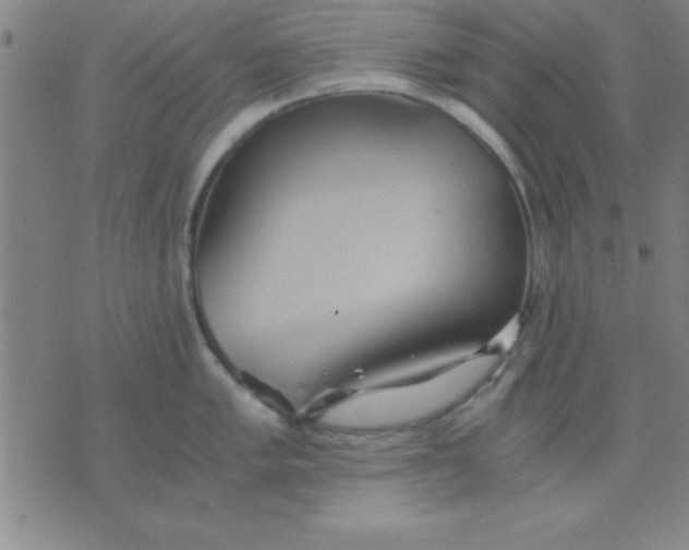 X0000075811005200610061727