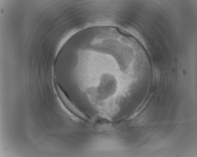 X0000075811006200610061727