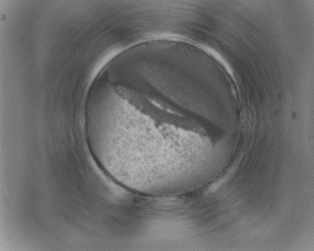 X0000075811007200610061727