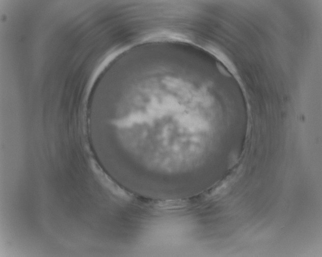 X0000075811008200610061727