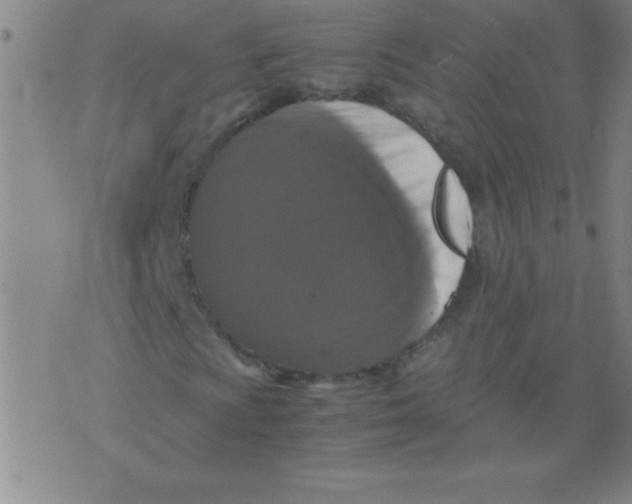 X0000075811009200610061726