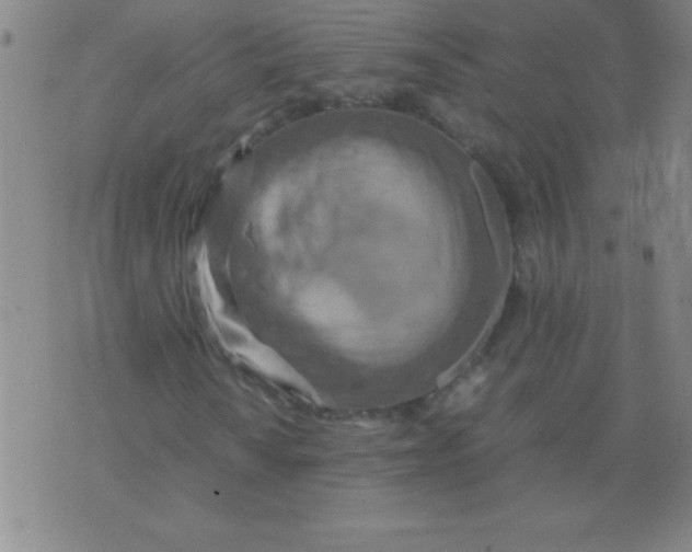 X0000075811010200610061726