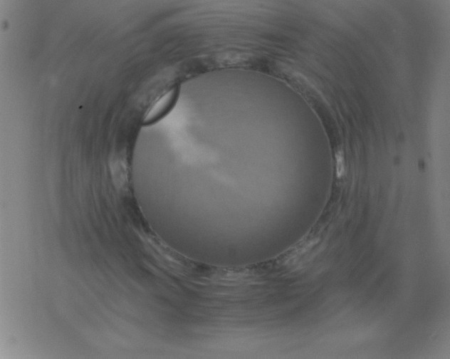 X0000075811011200610061726