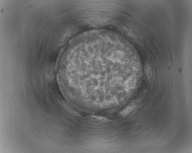 X0000075811012200610061726