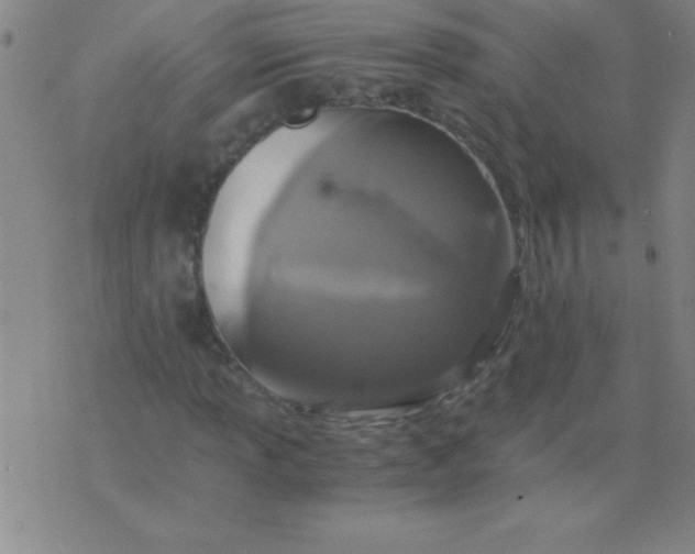 X0000075811013200610061726