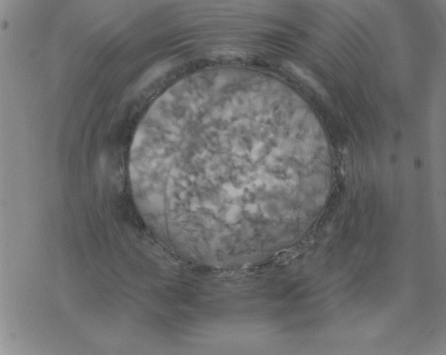 X0000075811015200610061726