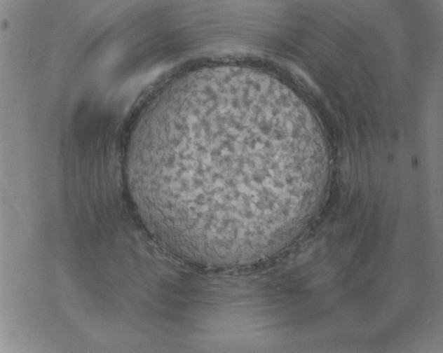 X0000075811016200610061726