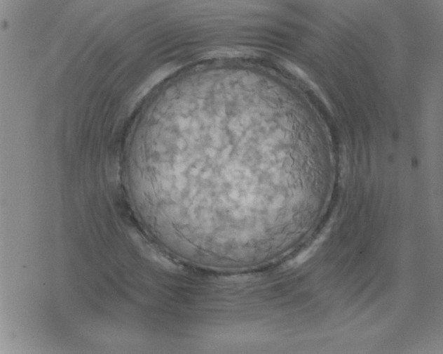 X0000075811017200610061726