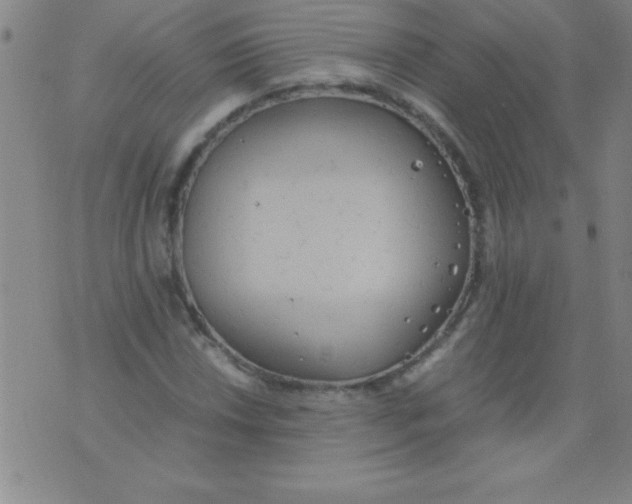 X0000075811018200610061726